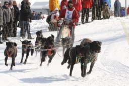 Lenk 2012 SM